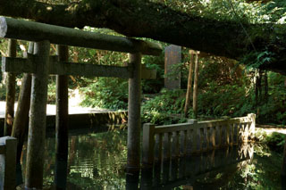 鹿島神宮 御手洗池