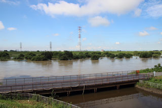 50年に一度の大雨 利根運河 江戸川河口