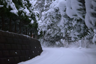 東福寺で雪の夜間撮影（夜10時）