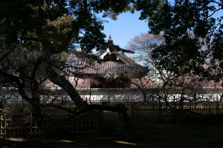 水戸の梅祭り 弘道館鹿島神社（孔子廟）