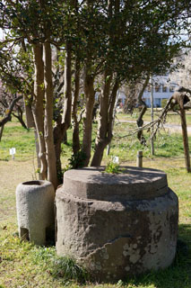水戸の梅祭り 弘道館鹿島神社（古井戸）