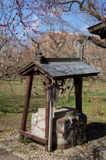 水戸の梅祭り 弘道館鹿島神社（釣瓶井戸）