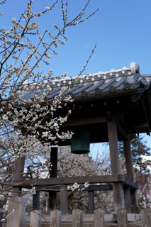 水戸の梅祭り 弘道館鹿島神社（学生警鐘）