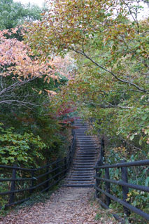 竜神大吊橋 紅葉の時期 ハイキングロード