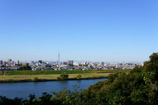 里見公園の紅葉（富士山とスカイツリー）