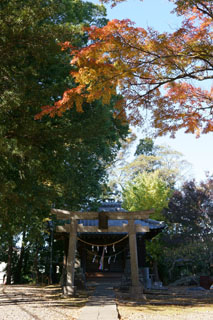 里見公園の紅葉 天満神社