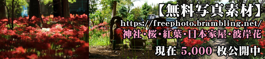 Nhkで特集された袋田の滝と竜神大吊橋の紅葉を見に行く 其の3 終 桜と神社 無料写真素材