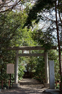 櫻木神社 日天社の鳥居