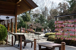 櫻木神社 拝殿