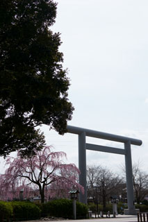 櫻木神社 三春小桜と大鳥居