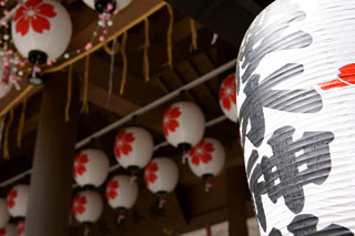 櫻木神社 神門の提灯