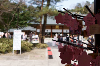 櫻木神社 絵馬と境内