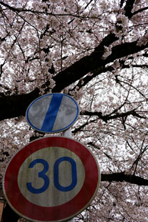 清水公園駅前の桜と標識