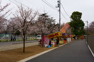 清水公園の桜 屋台