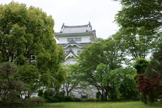 日本庭園から見る関宿城