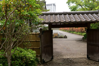 千葉県立関宿城博物館（日本庭園）
