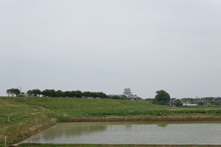 関宿城跡から見た関宿城