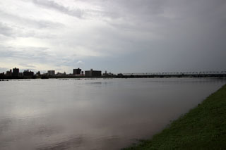 50年に一度の大雨 江戸川