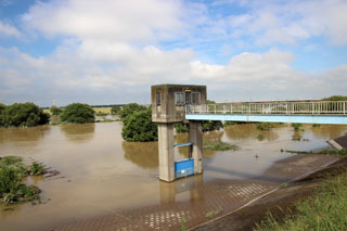 50年に一度の大雨 水門（江戸川）