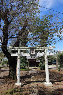 八幡神社 鳥居
