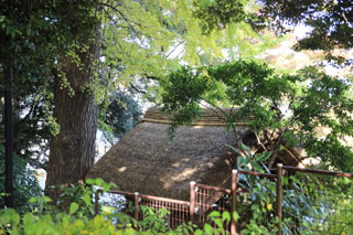 戸定が丘歴史公園の紅葉 茅葺屋根の門