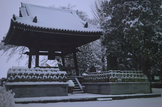 東福寺で雪の夜間撮影（夜10時）